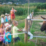 privat:-visites-guiades-i-activitats-de-descoberta