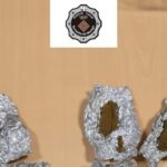 privat:-dos-detinguts-a-l’estartit-per-vendre-droga,-agredir-dos-policies-i-destrossar-el-cotxe-patrulla
