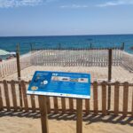 privat:-niu-de-tortuga-marina-a-la-platja-gran-(riuet)