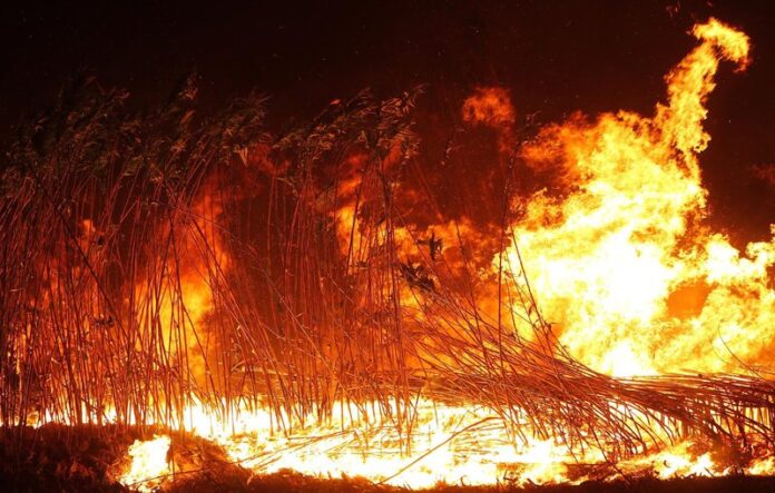 Vilopriu. Un foc cre
