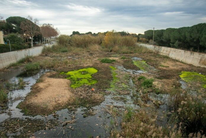 Ridaura diputació de girona Ridaura