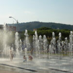 privat:-tornen-les-fonts-ornamentals!