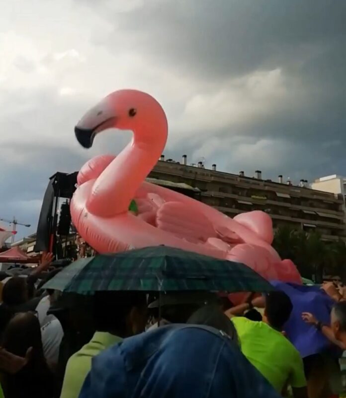 diverbeach flotador