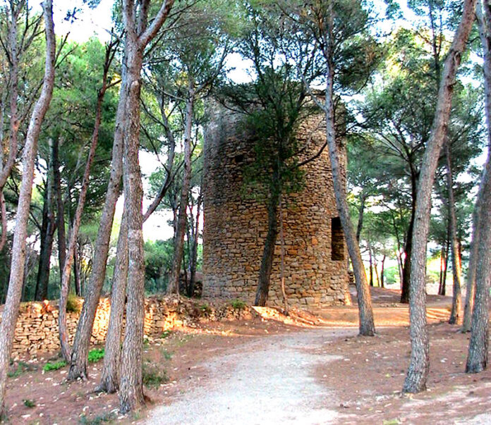 torre mora pals torre mora pals