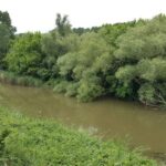 privat:-torroella-de-montgri-aposta-pel-consorci-del-ter-per-gestionar-la-xarxa-natura-2000-a-la-conca-del-ter