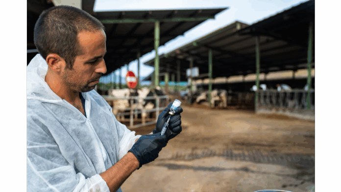 privat:-comenca-la-vacunacio-contra-la-dermatosi-nodular-contagiosa-a-les-granges-de-l’alt-emporda privat:-comenca-la-vacunacio-contra-la-dermatosi-nodular-contagiosa-a-les-granges-de-l’alt-emporda