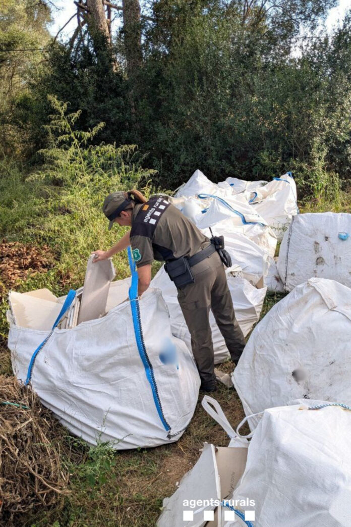 Vall-llobrega - Els Agents Rurals han denunciat un productor de plaques de guix després de localitzar diversos sacs en un terreny forestal a Vall-llobrega (Baix Empordà). Segons informen en una piulada a X, la denúncia és per gestionar incorrectament els residus. Al llarg del mes d'octubre, els Agents Rurals han localitzat i comunicats als ajuntaments afectats un total de 197 abocaments incontrolats de residus. Vall-llobrega - Els Agents Rurals han denunciat un productor de plaques de guix després de localitzar diversos sacs en un terreny forestal a Vall-llobrega (Baix Empordà). Segons informen en una piulada a X, la denúncia és per gestionar incorrectament els residus. Al llarg del mes d'octubre, els Agents Rurals han localitzat i comunicats als ajuntaments afectats un total de 197 abocaments incontrolats de residus.