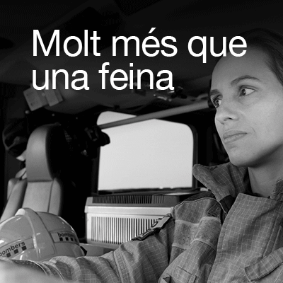 spot_img