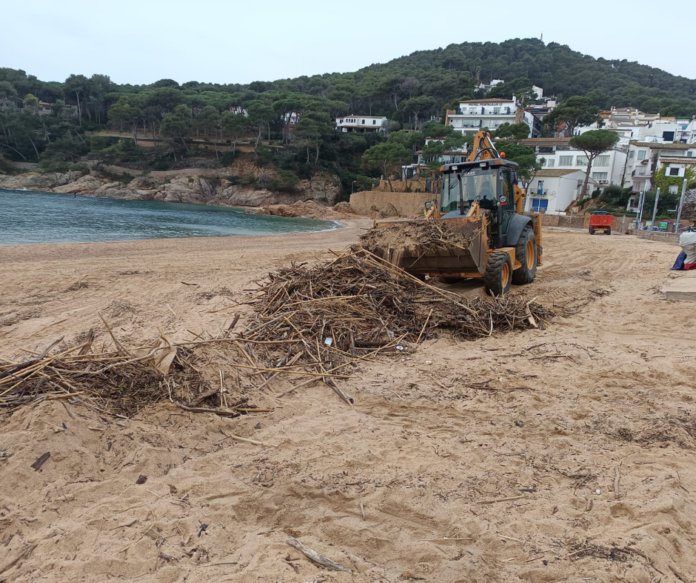 2026_01_08_Neteja_Tamariu Palafrugell