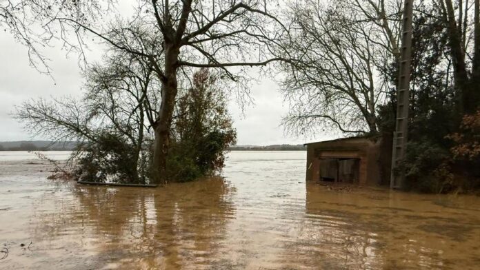privat:-inundacions-i-danys-als-arrossars-de-pals:-“ha-estat-un-desastre-total” privat:-inundacions-i-danys-als-arrossars-de-pals:-“ha-estat-un-desastre-total”