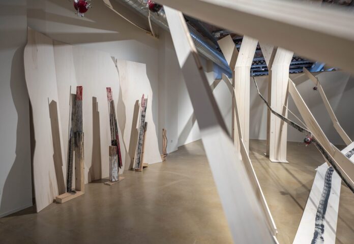 Fundació Vilas Casas Antoni Forcada mostra Museu de Can Mario