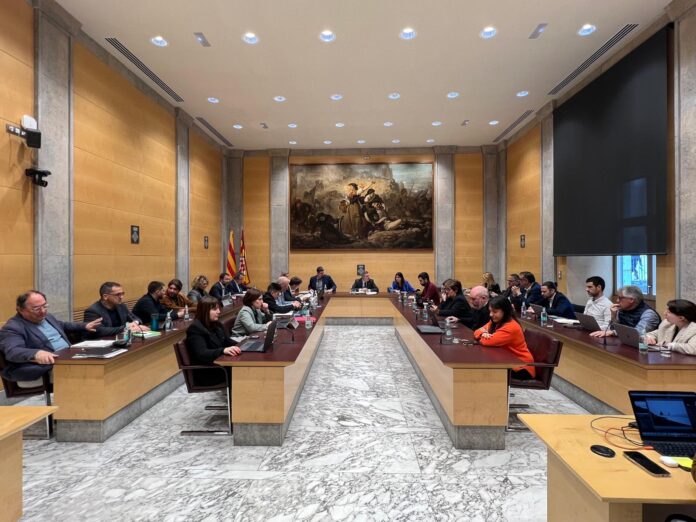 ple febrer ple diputació de Girona
