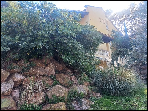 Naturabegur