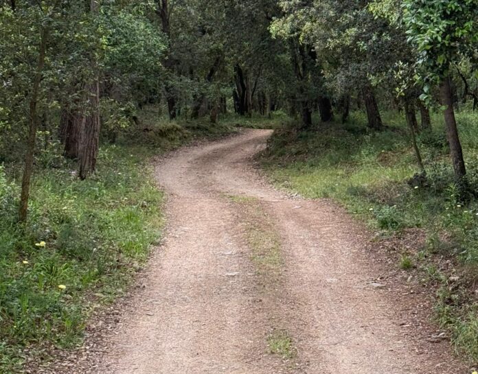 privat:-l’ajuntament-de-palafrugell-arranja-els-camins-de-terra-afectats-pel-temporal-harry