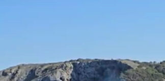 Albiren tres exemplars de balena rorqual des d’una barca a la costa del Montgrí, a tocar de les Illes Medes balena rorqual Montgrí