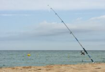 Repunten de nou els casos de gossos amb ferides per la ingesta d’hams abandonats a les platges