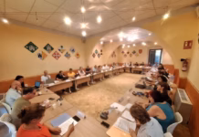 Francesc Xavier Gironès és el nou gerent del Consell Comarcal del Baix Empordà ple-ordinari-juny-2026-ccbe-02